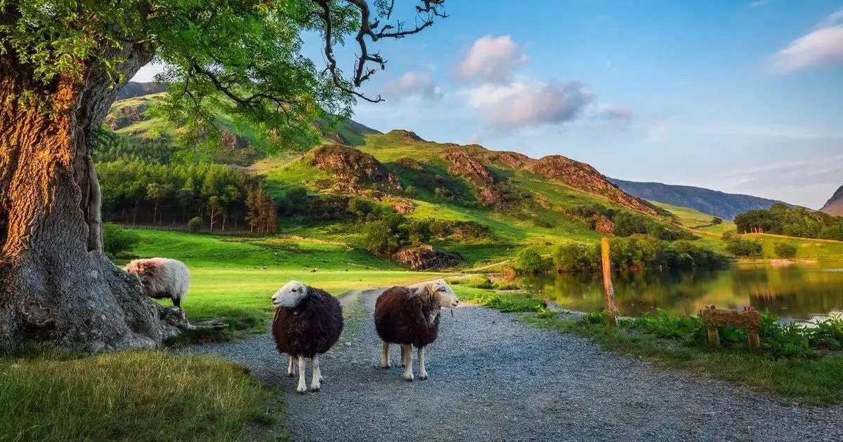 Lake District Named World’s Happiest Travel Destination